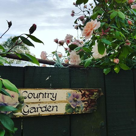 Dragonflycottagebnb Grovetown Eksteriør bilde