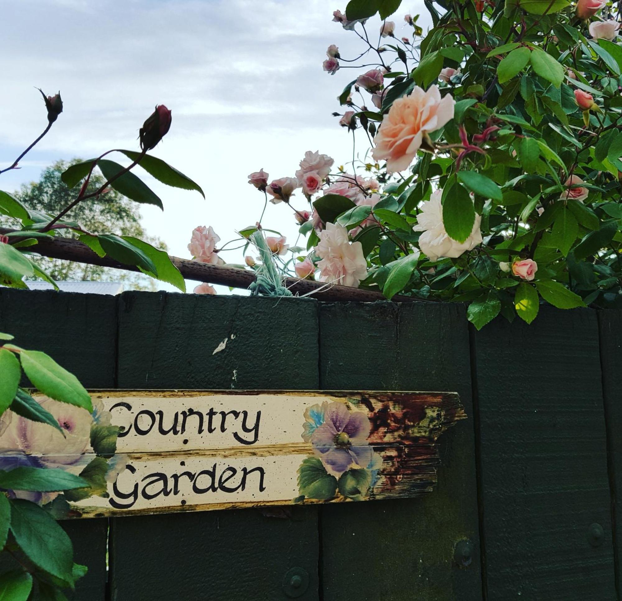 Dragonflycottagebnb Grovetown Eksteriør bilde